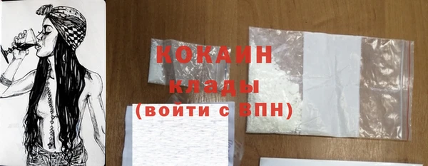твердый Ельня