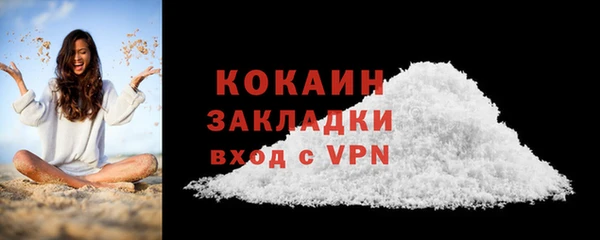 твердый Ельня