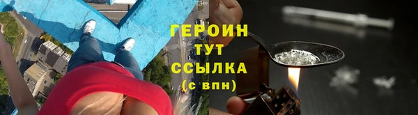твердый Ельня