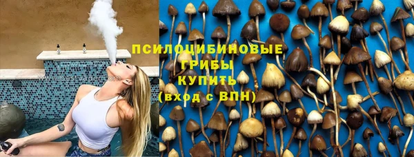 твердый Ельня