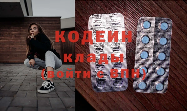 твердый Ельня