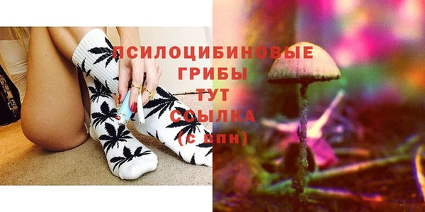 spice Елабуга