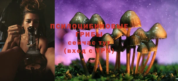 твердый Ельня