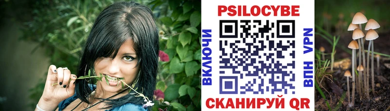 Купить Черногорск Галлюциногенные грибы GOLDEN TEACHER