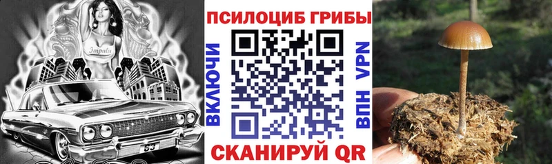 Галлюциногенные грибы Cubensis Черногорск